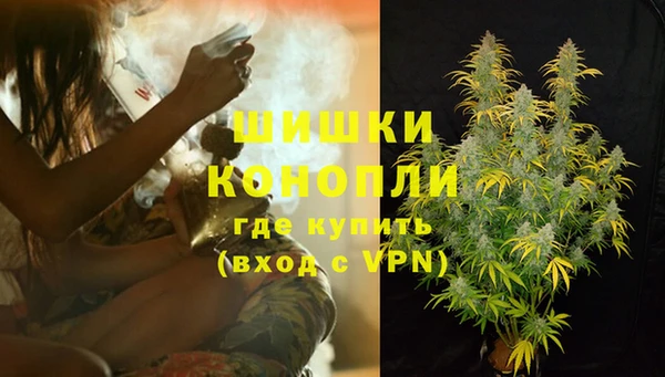 тгк Лагань