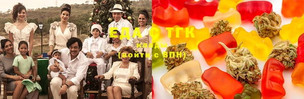 тгк Лагань