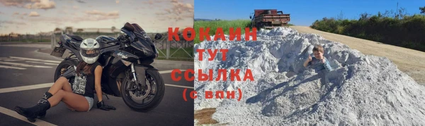 тгк Лагань