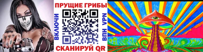 Купить где  Болотное  Псилоцибиновые грибы прущие грибы 